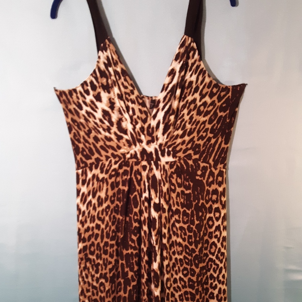 Leopard Print Maxi Dress